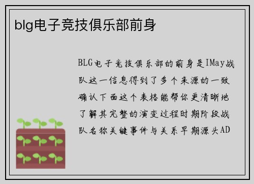 blg电子竞技俱乐部前身